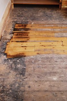 Sanding Floorboards, Painted Staircase, Wood Floor Restoration, Painted Wooden Floors, Diy Hardwood Floors, Painted Floorboards, Wood Floor Colors, Refinish Wood Floors, Painted Staircases