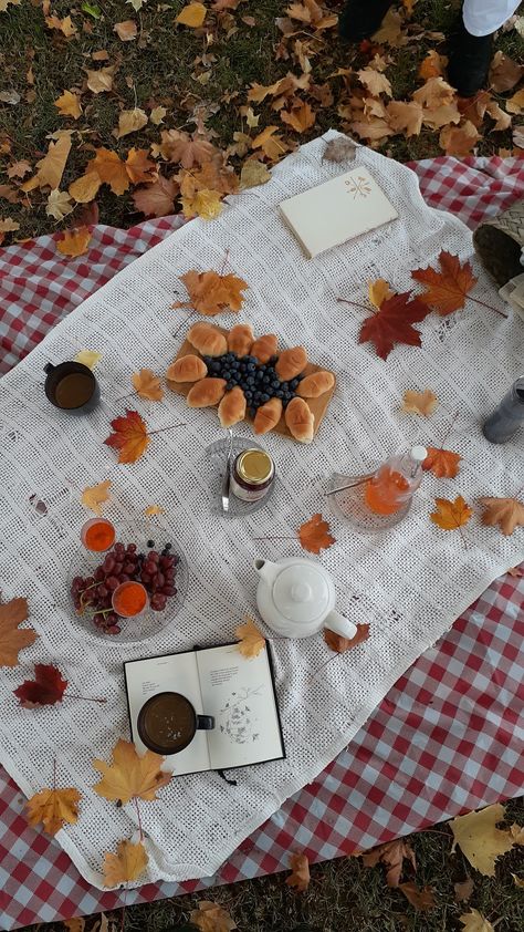 Autumn Birthday Activities, Fall Birthday Picnic, Fall Picnic Birthday Party, Autumn Picnic Ideas, Autumn Picnic Outfit, Autumn Picnic Aesthetic, Winter Picnic Ideas, Friendsgiving Picnic, Halloween Picnic