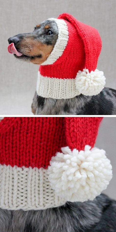 Santa Hats and Coats for Dogs – Free Knitting Pattern Santa Baby Song, Coats For Dogs, Hats For Dogs, Santa Hat Pattern, Knitting Patterns Free Beginner, Hat Patterns Free, Santa Dog, Santa Claus Hat, Santa Hats