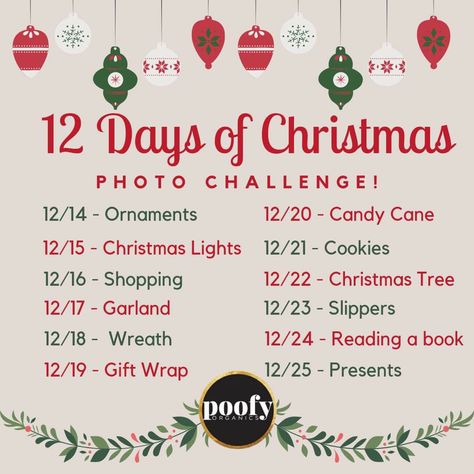 12 Days Of Christmas Photo Ideas, 12 Days Of Christmas Social Media Ideas, Christmas Social Media Ideas, Christmas Photo Challenge, Christmas Social Media, Social Media Ideas, Christmas Post, Christmas Photography, Christmas Photo