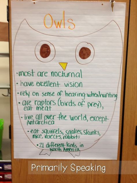 Owl Learning Activities, Owls Kindergarten, Owl Preschool, Owl Writing, Owl Activities, Owl Pellets, Owl Classroom, Owl Moon, Fall Kindergarten