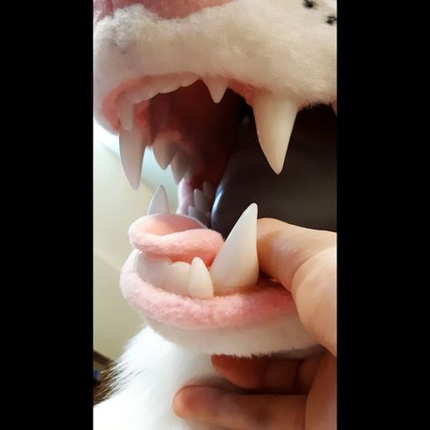 Fursuit Mouth, Ferret Fursuit, Ferret Fursona, Possum Fursuit, Cow Fursuit, Fursuit Teeth, Hyena Fursuit, Fursuit Head Base, Cat Fursuit