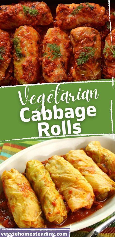 Cabbage Roll Vegetarian, Veggie Stuffed Cabbage Rolls, Cabbage Rolls Vegetarian Meatless, Vegetarian Meals With Cabbage, Plant Based Cabbage Rolls, Cabagge Rolls Stuffed Vegan, Vegetarian Cabbage Rolls Recipe, Vegetable Cabbage Rolls, No Rice Cabbage Rolls