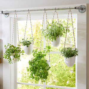 Kebun Herbal, Herb Garden Planter, Plants In Pots, Plants Hanging, Planter Diy, Hanging Herbs, Vertical Garden Indoor, Tanaman Pot, Tanaman Indoor