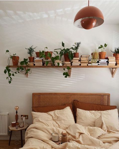 Urban Jungle Bloggers™ on Instagram: “Good morning, plant tribe! With coffee in bed & plants above you🥰🌿☕️ 📷 by @bintabuheh #urbanjunglebloggers” Bedroom Plants Decor, Rattan Bed Frame, Rattan Bedroom, Coffee In Bed, Rattan Bed, Bohemian Furniture, Plants Decor, Bedroom Plants, Apartment Style