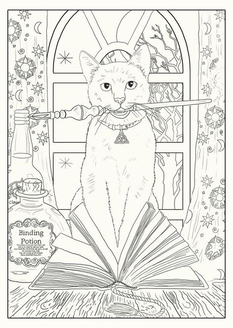 Colour In Drawings, Hocus Pocus Drawing, Hocus Pocus Coloring Pages, Witchy Coloring Pages, Colouring In Pages, Colouring Book For Adults, Harry Potter Coloring Pages, Lisa Parker, Witch Coloring Pages