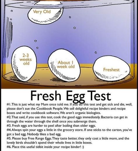 Egg Test For Freshness, Egg Test, Fresh Egg, Backyard Chicken Farming, Kitchen Conversion, Recipe Binders, Chicken Diy, Food Info, Cooking Basics