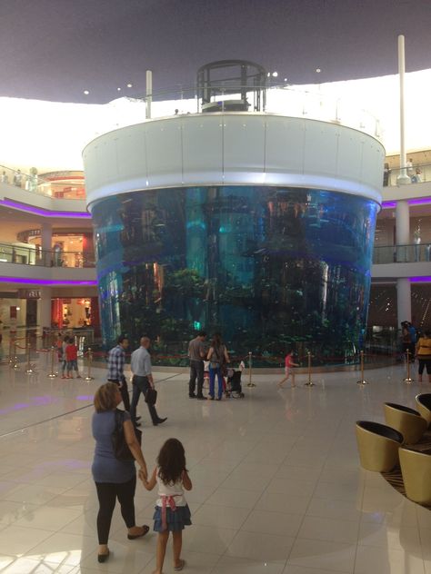 Mall of morocco aquarium have to see in person it is absolutely amazing! Morocco Mall, Cloud Gate, Morocco, Travel