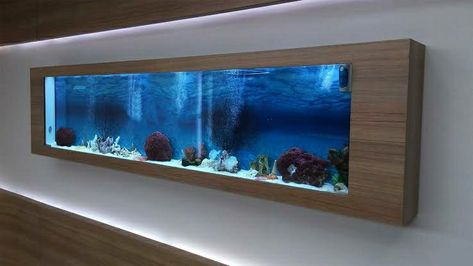 Wall Aquarium Design, Aquarium Wall, Fish Tank Wall, Wall Aquarium, Amazing Aquariums, Dentist Clinic, Fish Tank Design, Aquarium Ideas, Nature Aquarium