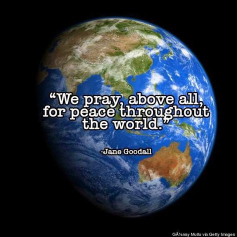 Pray For World, Pray For World Peace, Pray For America, Pray For Peace, Prayer For Peace, Give Peace A Chance, Jane Goodall, Inner Peace Quotes, Beautiful Prayers