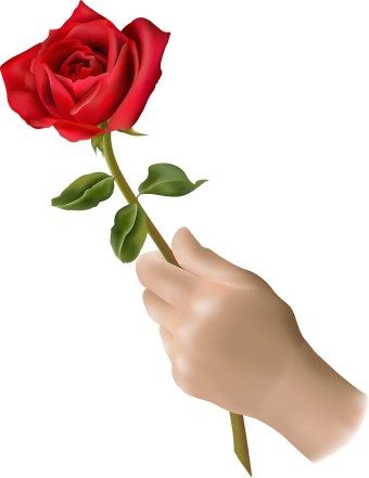 Pink Roses Clip Art Free | Clip art of a hand holding a single red rose flower. Rose Clip Art, Hand Holding Rose, Rose Decorations, Rose In Hand, Rose Ideas, Rose Reference, Hands Holding Flowers, Hd Flower Wallpaper, Heart Clip Art