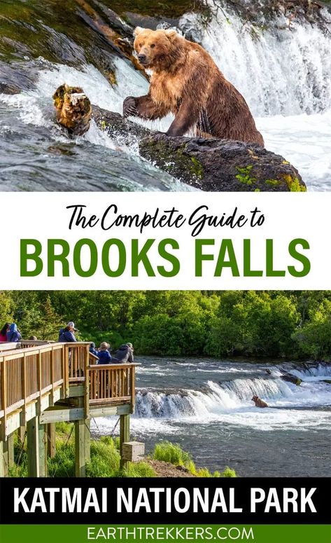 Brooks Falls is one of the best places in Katmai National Park & Preserve to see brown bear. Located in Katmai National Park & Preserve, learn how to get here, the best time to see bear in Katmai, stats about the Brooks Falls hiking trail, recommended camera gear, and tips to help you plan your visit. Brooks Falls Bears, Brooks Falls Alaska, Katmai National Park Alaska, Katmai Bears, Traveling Usa, Alaska Road Trip, Alaska National Parks, Travel Alaska, North To Alaska