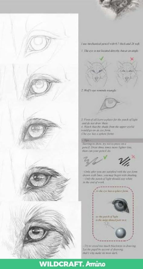 Husky Eyes Drawing, How To Draw Dog Eyes Step By Step, How To Draw Dog Fur, How To Draw Dog Eyes, How To Draw A Dog Face, Dog Eyes Drawing, How To Draw A Dog, Dog Portrait Drawing, Dog Drawing Tutorial