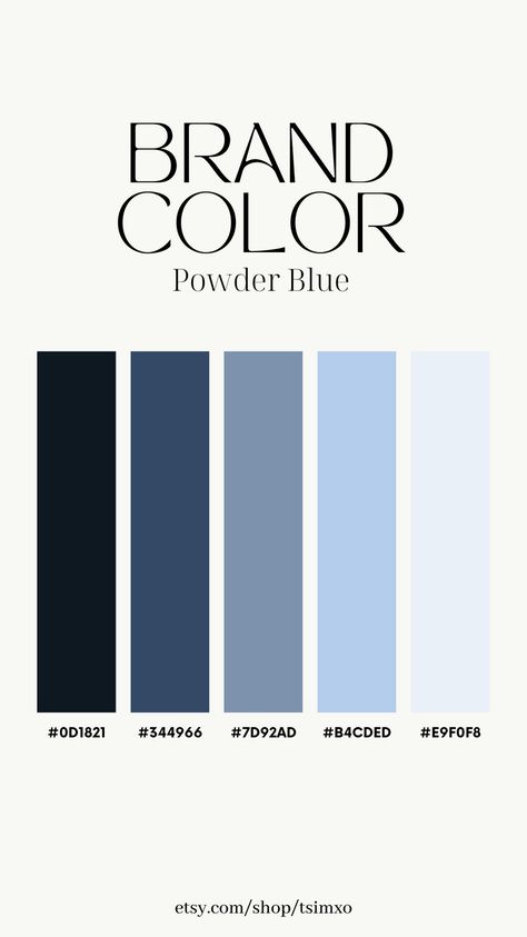 Power Point Color Pallete, Blue Color Palette Website, Blue And Grey Palette, Blue Christmas Color Palette, Pantone Color Schemes, Colour Pallete Combinations, Dark Blue Color Combinations, Medical Color Palette, Blue Palette Colour Schemes