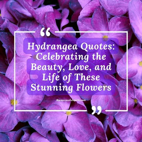 Hydrangea Quotes, Flower Quotes Short Beautiful, Flower Quotes Short, Love Feelings, Rose Quotes, Hydrangea Care, To Express Your Feelings, Hydrangea Not Blooming, Word Meaning