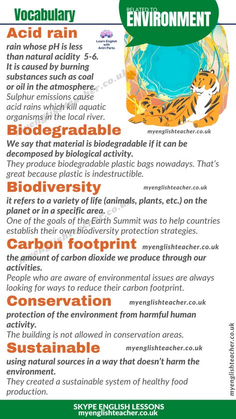 Geography Vocabulary Words, Environment Vocabulary English, Coleus Care, Geography Knowledge, Environment Studies, Geography Vocabulary, Basic Geography, Vocabulary In English, English Language Course