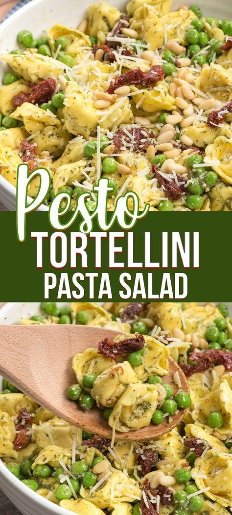 My favorite pasta salad is this PESTO Tortellini Pasta Salad! It's easy to make and the perfect summer side dish. With peas, pine nuts and sun-dried tomatoes it's everyones favorite pasta salad recipe. #cold #easy #tortellini #recipes #sundriedtomatoes #withpeas Pesto Tortellini Pasta Salad, Pesto Tortellini Salad, Favorite Pasta Salad, Tortellini Pasta Salad Recipes, Easy Tortellini, Tortellini Pasta Salad, Pesto Salad, Pesto Tortellini, Pea Pesto