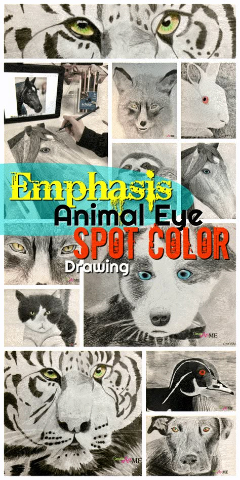 Emphasis Animal Eyes Graphite and Colored Pencil Drawing Middle School Animal Art Projects, Drawing Lessons For Middle School, Middle School Advanced Art Projects, Emphasis Art Project, Drawing Projects For Middle School, Middle School Drawing Lessons, Middle School Drawing Projects, Middle School Art Projects Lessons, Drawing Lessons Middle School