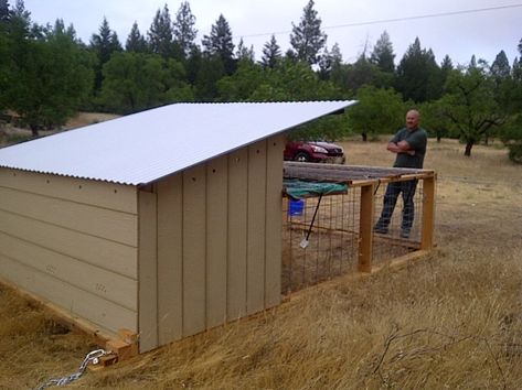 pig tractor pix! – The Well Designed Life Is A Life Lived Well Hog Panel Fencing, Pig Tractor, Chicken Tractor, Wind Break, Hardware Cloth, Small Chicken, Pig Farming, Corrugated Metal, Chicken Wire