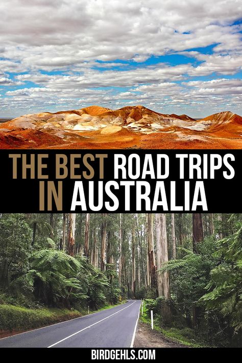 To road trip #Australia is an epic adventure indeed - whether you're taking on a trip spanning thousands of kilometres and many weeks, or a smaller journey to a local sight. Here are some ideas for road trips in Australia, to get you started with your trip planning. / #TravelTipsAustralia / #RoadTrips / #SeeAustralia / Road Trip Itineraries Australia / Australia Travel Inspiration / Road Trip Australia, Australia Road Trip, Roadtrip Australia, Australian Road Trip, Best Road Trips, Australia Itinerary, Perfect Road Trip, Australia Travel Guide, Australian Travel