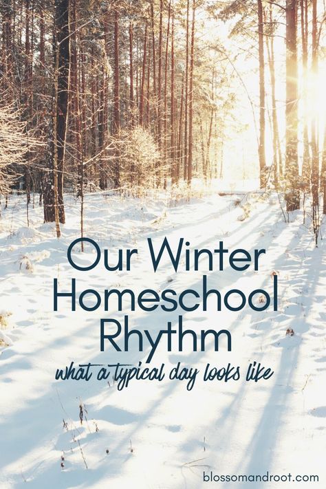 Homeschool January Activities, Charlotte Mason Unschooling, New Year Homeschool Activities, Secular Charlotte Mason, Homeschool Charlotte Mason, January Homeschool Ideas, Charlotte Mason High School, Good And The Beautiful Homeschool, Winter Homeschool Activities