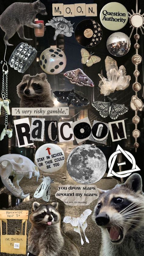 raccoon !! #raccoon #raccoontherian #alterhuman #therian #therianthropy Cute Therian Wallpaper, Christmas Raccoon Wallpaper, Raccoon Collage, Raccoon Background, Therian Raccoon, Racoon Wallpaper, Raccoon Therian, Raccoon Aesthetic, Raccoon Wallpaper