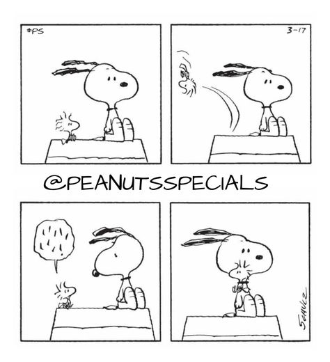 First Appearance: March 17, 1984
#snoopy #woodstock  #peanutswednesday #peanutshome #schulz #ps #pnts #peanuts #officialpeanutsspecials Snoopy Comics Strip, Peanuts Snoopy Comics, Woodstock And Snoopy, Charles Shultz, Woodstock Charlie Brown, Woodstock Snoopy, Snoopy Comics, Snoopy Cartoon, Peanuts Comic Strip