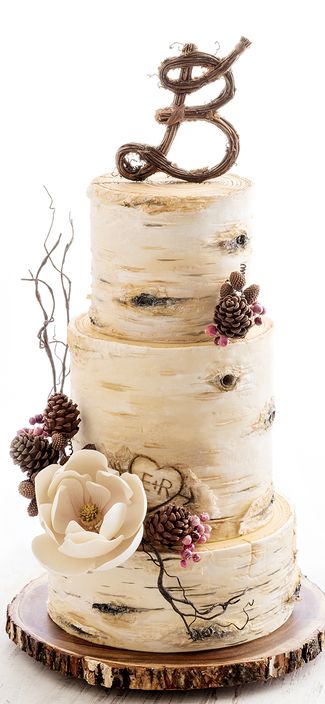 Birch Tree Wedding Cake                                                                                                                                                      More Birch Tree Wedding Cake, Tree Wedding Cake, Tårta Design, Vintage Pasta, Wedding Cake Tree, Birch Tree Wedding, Winter Wedding Cake, Wedding Cake Rustic, Rustic Cake