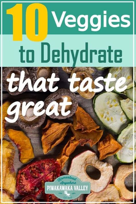 Let's face it some dehydrated vegetables and fruit are simply gross. Here are 10 vegetables that you can dehydrate and how to use them that actually taste nice. Perfect for storing the harvest or for keeping your produce that you grew in your garden at home! #foodpreservation #piwakawakavalley Dehydrator Recipes Vegetables, Dehydration Recipes, Vegetarian Camping Recipes, Dehydrating Recipes, Vegetarian Camping, Diy Condiments, Dehydrating Food Storage, Vegetable Ideas, Dehydrated Fruits