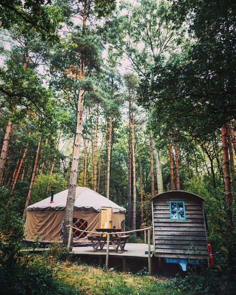 Yurt Aesthetic, Yurt Exterior, Yurt Cabin, Bathroom Roof, Yurt Ideas, Yurt Life, Compost Toilet, Yurt Camping, Yurt Home