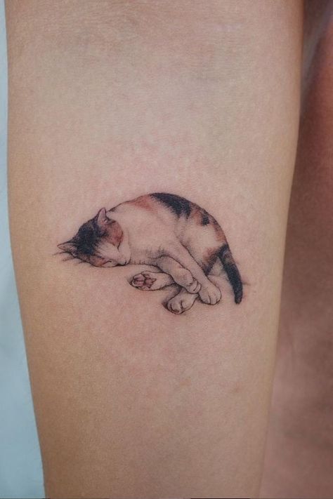 Detailed Cat Tattoo, Calico Cat Tattoo Ideas, Tattoo Of Cat, Calico Tattoo, Pet Name Tattoo, Pet Cat Tattoo, Calico Cat Tattoo, Arm Tattoo For Women, Cat Tats