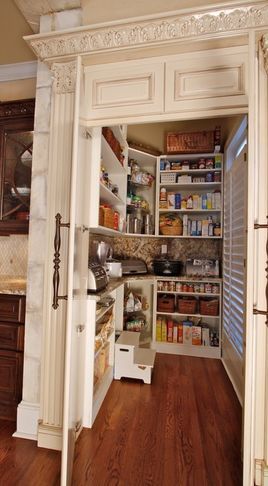 YES!!!!! counter inside pantry to store appliances... i think this is my favorite idea ever... i do not like things on my counter Store Appliances, Pantry Furniture, تصميم للمنزل العصري, Hus Inspiration, Style At Home, Walk In Pantry, Kitchen Pantry, Küchen Design, Home Decor Tips