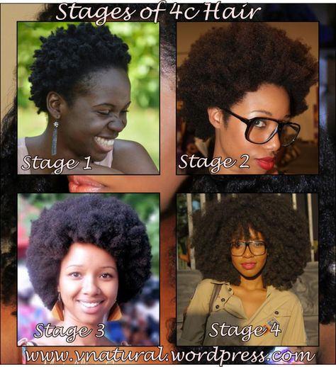 "natural hair stages of 4c hair" I'm still figuring out whether or not I have 4c hair. Won't know for sure until I cut off the relaxed ends. Natural Hair For Black Women, Hair Growth Stages, Hair Stages, Natural Hair Twa, 4c Hair Care, Cabello Afro Natural, Hair For Black Women, Black Queens, 4c Natural