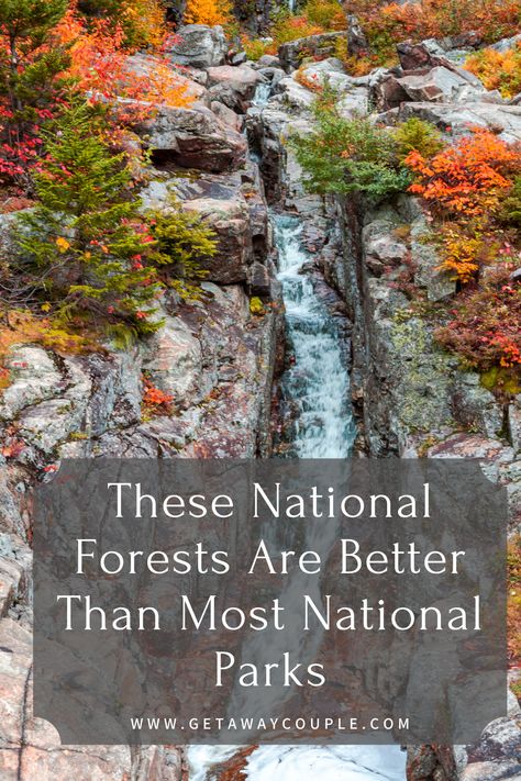 Looking for a hidden gem full of beauty, nature, and adventure? Check out these National Forests that are better than most National Parks! These National Forests Are Better Than Most National Parks Northern Cascades National Park, Snake River Canyon, Gifford Pinchot National Forest, Allegheny National Forest, Horseback Riding Trails, White Mountain National Forest, Cascade National Park, Pisgah National Forest, Summer 2025