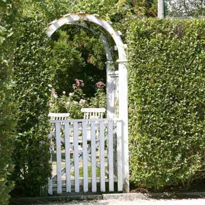 The Privet Hedge - This Old House Arbor Gate, Privet Hedge, Garden Gate Design, Concrete Path, Living Fence, Garden Shrubs, This Old House, Garden Gates, Green Wall