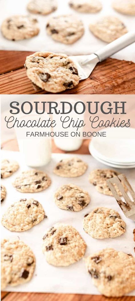 Long Ferment Sourdough Recipes, Long Fermented Sourdough Cookies, Long Fermented Sourdough Recipes, Sourdough Chocolate Chip Cookies, Farmhouse On Boone, Recipe Using Sourdough Starter, Sourdough Starter Discard Recipe, Ga Bulldogs, Homemade Sourdough Bread