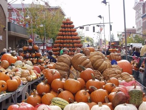 Fall Festivals In Ohio, Circleville Pumpkin Show, Circleville Ohio, Pumpkin Pizza, Fall Foliage Road Trips, Pumpkin Show, Pumpkin Fudge, Pumpkin Festival, Large Pumpkins