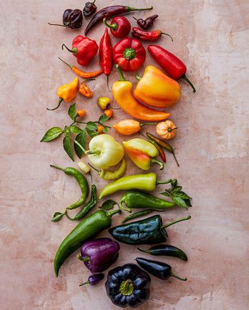 Vegetables Photography, Food Art Photography, Food Photography Styling, Peppers Recipes, Food Shows, Fruit And Veg, Beautiful Food, Lock Screen, Fresh Produce