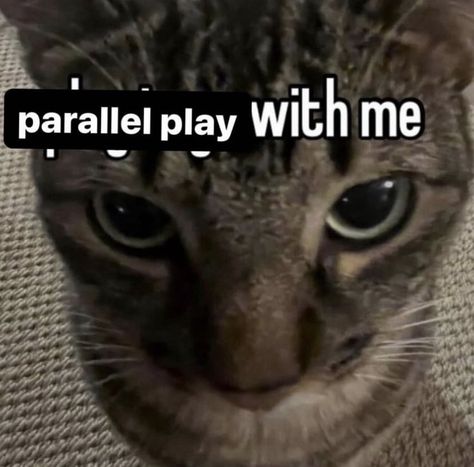 Parallel Play, Silly Core, I Love My Friends, Oui Oui, Silly Me, Silly Cats, Just Girly Things, Literally Me, My Vibe