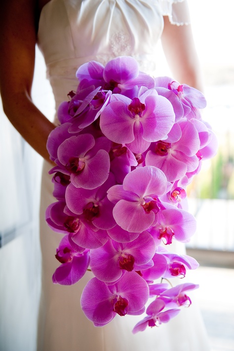 No Bouquet Wedding Ideas, Pink Orchids Bouquet, Bouquet Shapes, Diy Wedding Flowers Bouquet, Unique Bouquets, Orchid Bouquet Wedding, Bridal Decor, Plant Arrangements, Orchid Bouquet