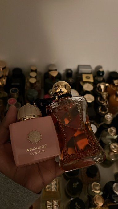 Fragrance Queen on X: "Part 2. Layering combos for Amouage Guidance I outdid myself cus these combos are crazy. You will get CHASED DOWN😭 https://t.co/GsZSmms5NP" / X Amouage Guidance, Amouage Perfume, Layering Combos, Fragrances Perfume Woman, Fragrances Perfume, Dream Life, Scents, Layering, Fragrance