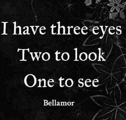 I have 3 eyes...2 to look and 1 to see Indigo Children, Spiritual Journey, Spiritual Awakening, Third Eye, The Words, Inspire Me, Wise Words, Favorite Quotes, Einstein