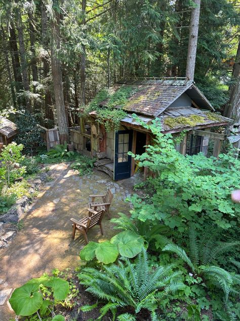 Garden Shed Aesthetic, Tiny House With Garden, Shed Life, Shed Aesthetic, Shed In The Woods, Cute Shed, Fantasy Cabin, Artist Shed, Tiny Home Shed