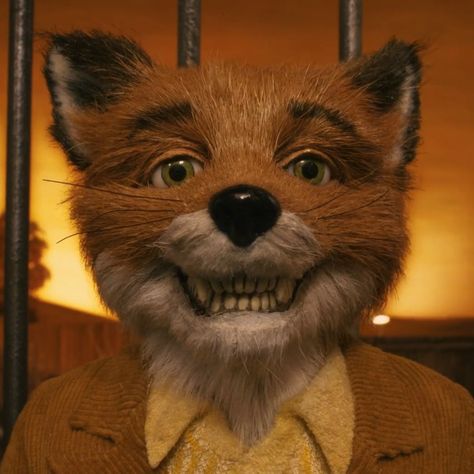 Mr Fox Movie, Fantastic Mr Fox Movie, Fox Gif, Fantastic Fox, Mister Fantastic, Wes Anderson Movies, Wes Anderson Films, Art Fox, Moonrise Kingdom