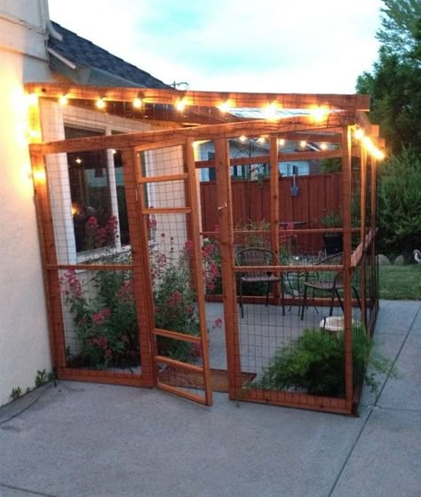 Katt Diy, Katt Grejer, Kat Diy, Cat Fence, Cat Patio, Outdoor Cat Enclosure, Cat House Diy, Outdoor Cat House, Cat Enclosure