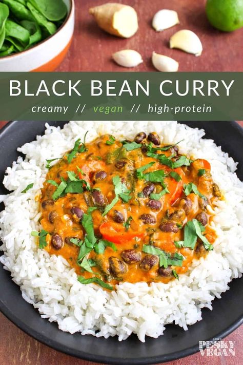 This delicious vegan curry is a great black bean recipe to have in your locker. Instead of using coconut milk, simply stir in a bit of homemade cashew cream for an easy dinner that's creamy, dairy-free, gluten-free, and high in protein. #vegan #vegancurry #highprotein #blackbeans #blackbeancurry #vegetarian Black Bean Coconut Milk, Black Bean Coconut Curry, High Protein Vegan Bean Recipes, Creamy Black Bean Curry, High Protein Bean Recipes, Black Bean Curry, Bean Curry Recipe, Black Bean Recipe, Vegan Proteins