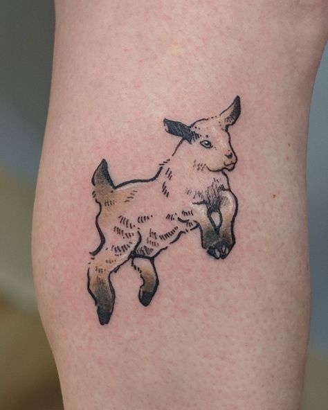 Goat tattoo Pygmy Goat Tattoo, Fine Line Goat Tattoo, Tiny Goat Tattoo, Cute Ram Tattoo, Chinese Goat Tattoo, Billy Goat Tattoo, American Traditional Goat, Goat Tattoo Cute, Baby Goat Tattoo