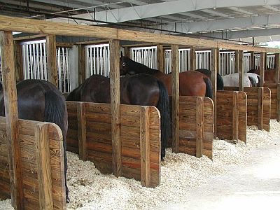 Horse Tie Stalls, Tie Stalls For Horses, Horse Stall Corner Hay Feeder, Paradise Paddock, Stall Plates Horse, Horse Stall Mats, Horse Stalls Doors, Custom Horse Stalls, Stall Fronts Horse