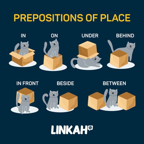 Learn Prepositions of Place with a Cat and a Box! 🐱📦

In: The cat is in the box. 🐱📦
On: The cat is on the box. 🐱📦
Under: The cat is under the box. 🐱📦
Next to: The cat is next to the box. 🐱📦
Behind: The cat is behind the box. 🐱📦
In front: The cat is in front of the box. 🐱📦
Between: The cat is between the boxes. 📦🐱📦

E aí? Where's the cat? 🐱

#inglesonline #ingles #dicasdeingles #inglesfacil #auladeingles In On Under Behind Worksheet, In On Under, Preposition Of Time And Place, Uses Of Prepositions, Preposition Of Place, Preposition Worksheets In On Under, English Prepositions, Teaching Activities, Fun Crafts For Kids