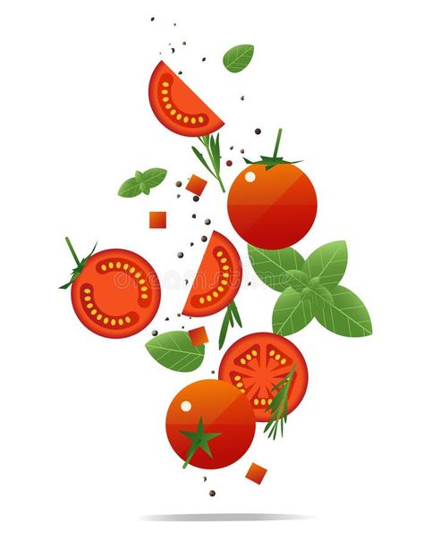 Tomato Illustration Graphics, Tomato Vine Tattoo, Healthy Food Background, Poppy Flower Drawing, Vegan Logo, Food Background, Vegetable Illustration, Food Vector, Rain Wallpapers